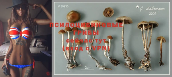 каннабис Алзамай